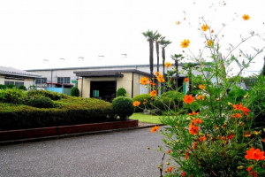TVH